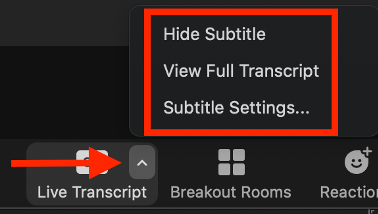 Click the small upwards-facing arrow on the Live Transcript button for more options, including: