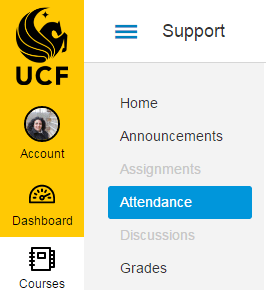 In the course navigation, click the Attendance link.