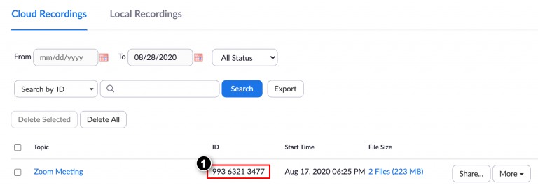 Click Recordings to view your cloud and local recordings.