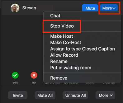 Click Stop Video in the dropdown menu that appears.