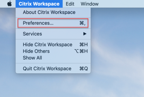 Citrix Workspace App, select Preferences