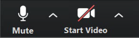 Click the ^ next to the Mute button in the lower-left corner of the Zoom window to open audio options. 