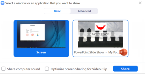 In the Share window, click the window you wish to use in the recording. 